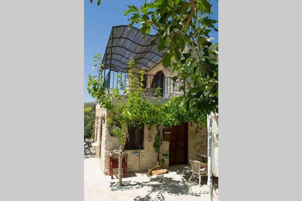 Petite Olive House Sitia (Crete) Exterior foto